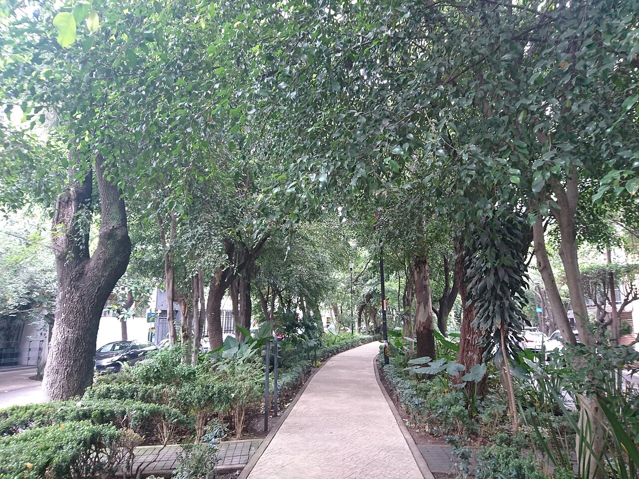 Camellón arbolado de Avenida Ámsterdam